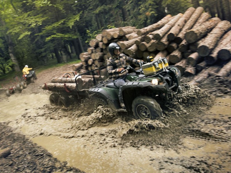 Yamaha Grizzly 550 EPS (2012)