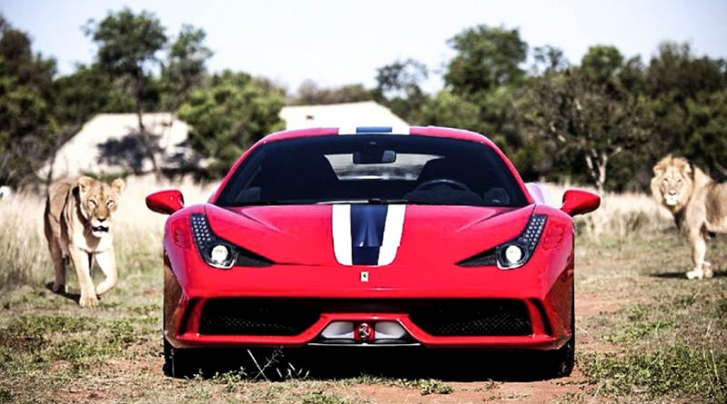 Ferrari 458 Speciale in der Savanne Südafrikas mit den Löwen von Kevin Richardson 800x445 - Ferrari 458 Speciale: Ein Treffen mit der echten südafrikanischen Savanne