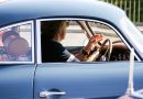 Ratgeber Sonnenbrille beim Autofahren wann drohen Bussgelder AUTOmativ.de Ratgeber Cars and Coffee Stuttgart 1 130x90 - VW Golf GTI Clubsport Facelift (2024): Behutsam aufgefrischt